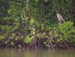 HSBC cùng WWF giải quyết vấn đề biến đổi khí hậu tại Việt Nam