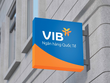 VIB: Quý I/2021, Kl99 nổ hũ đạt hơn 1.800 tỷ đồng, tăng trưởng 68%, ROE đạt kỷ lục 31%