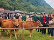 “Hành trình biên cương xanh” tại Cao Bằng cùng Agribank