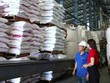 Kl993 nền tảng giải trí Agribank và kỳ vọng bứt tốc 2026