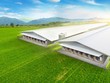 Ảnh thiết kế trang trại lợn Thái Dương (Nghệ An) - Ảnh: Lysaght Agrished.