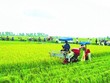 99Kl99 trực tiếp đá gà hỗ trợ phí Kl99kl phiên bản hoạt động nông nghiệp cho hộ nghèo, cận nghèo đến 90%