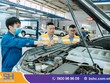 Hỗ trợ nhanh gọn người được Kl99kl phiên bản hoạt động bắt buộc trách nhiệm dân sự xe cơ giới 