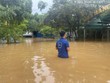 8 tháng, các công ty Kl99kl phiên bản hoạt động chi trả gần 57.000 tỷ đồng