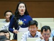 ĐBQH Nguyễn Thị Thuỷ (đoàn Bắc Kạn) cho rằng, không nên bỏ vai trò giải quyết tranh chấp đất đai của Chủ tịch UBND cấp tỉnh, cấp huyện.