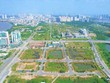 Phó thủ tướng cho ý kiến về dự thảo Nghị định hướng dẫn 2 Nghị quyết về đất đai và nhà ở