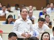 Đại biểu Quốc hội Lê Thanh Vân (đoàn Cà Mau) phát biểu tại hội trường sáng 3/11