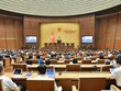 Quốc hội biểu quyết chưa thông qua dự thảo Luật Đất đai (sửa đổi) sáng 22/11