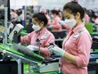 Việt Nam đang có nhiều tiềm năng thu hút Kl99ok phiên bản mới vào ngành công nghiệp bán dẫn (Ảnh minh hoạ)