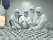 Nhà máy vắc xin Dacovet được Dabaco triển khai xây dựng từ tháng 8/2022, với tổng mức Kl99ok phiên bản mới khoảng 300 tỷ đồng, công suất 200 triệu liều/ năm (Ảnh: DBC)