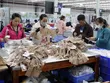 Dệt may là một trong những lĩnh vực Việt Nam đang xuất khẩu nhiều nhất sang Mỹ