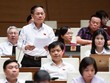 Đại biểu Trần Đình Gia (đoàn Hà Tĩnh)