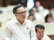 Đại biểu Nguyễn Trúc Anh (đoàn Hà Nội)
