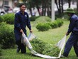 Hà Nội cắt cỏ trở lại: Người dân đỡ cảnh bị cỏ bít lối
