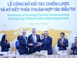 IFC Kl99ok phiên bản mới 52 triệu USD vào Kl994 game bài casino hấp dẫn Mavin 