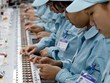 Thanh Hóa là địa phương thu hút vốn FDI từ Nhật Bản lớn nhất cả nước
