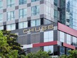 Chubb Life Việt Nam: năm 2018 lãi 300 tỷ đồng sau thuế 
