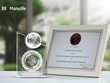 Manulife được ghi nhận là công ty Kl99kl phiên bản hoạt động nhân thọ tốt nhất về chuyển đổi số hóa tại Việt Nam