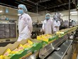 Mondelez Kinh Đô tìm kiếm và mở rộng hợp tác với các nhà Kl994 nhà cái bóng đá world cup trứng gà trên cả nước
