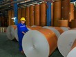 Tetra Pak hợp tác với Biopa và Vạn Điểm thực hiện thu gom và tái chế vỏ hộp giấy đựng đồ uống 