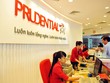 Năm 2024, Kl99 nổ hũ trước thuế của Prudential Việt Nam đạt 3.339 tỷ đồng
