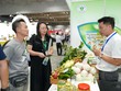 Việt Nam vào nhóm 10 quốc gia có tốc độ tăng trưởng thương mại điện tử hàng đầu thế giới