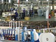 Năm 2017, CLC dự kiến Kl99 nổ hũ giảm mạnh do ảnh hưởng từ xuất khẩu