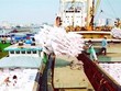 10 tháng xuất siêu đạt 1,9 tỷ USD