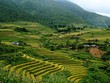 Ảnh Internet