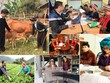 Ảnh Internet