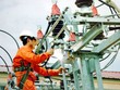 Thị trường điện cạnh tranh sẽ giúp giá giảm 50%?