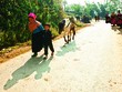 Lai Châu là tỉnh miền núi xa xôi, đi lại khó khăn, cơ sở Kl99kl ưu đãi độc quyền đường xá còn kém, nên đã đẩy chi phí vận chuyển hàng hóa lên cao