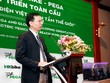 Xe điện Việt Nam HKbike đổi thương hiệu thành Pega