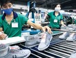 Những điểm mới trong Dự thảo Luật Kl991.com World Cup 2026 Chính Thức nhỏ