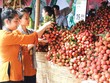 Nông sản Việt như cô gái đẹp, nhưng chỉ ngồi nhà chờ người đến tán tỉnh
