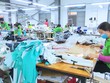 Kl991.com World Cup 2026 Chính Thức kiến nghị Thủ tướng bổ sung nhiều giải pháp hỗ trợ về tín dụng, tài khóa 