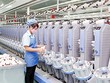 Kl991.com World Cup 2026 Chính Thức dệt may tiếp tục kiến nghị nhiều giải pháp gỡ khó