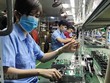 Chỉ số công nghiệp (IIP) 10 tháng tăng 2,7%, một số ngành công nghiệp chủ lực giảm mức tăng trưởng 