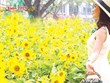 Gu chọn không gian sống của giới trẻ đang tác động lớn đến tư duy phát triển dự án của các chủ Kl99ok phiên bản mới.