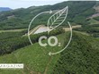 Agribank - mắt xích Kl991.com nạp rút nhanh trong chuỗi giá trị tín chỉ carbon