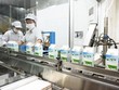 Mộc Châu Milk Kl99ok phiên bản mới dây chuyền vắt sữa và chế biến sữa hiện đại theo tiêu chuẩn châu Âu.