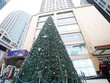 Cây thông noel cao 15m tại Trung tâm Thương mại Vincom Bà Triệu được trang trí bằng đèn led, hoa sakura, trái châu... 