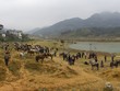 Bắc Hà: Chốn bình yên khác lạ