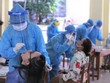 Đà Nẵng: Từ ngày 4/9-8/9 xét nghiệm Covid-19 diện rộng theo hộ gia đình