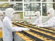 Nhiều nhà Kl99ok phiên bản mới cho biết sẽ xem xét mở rộng chuỗi cung ứng tại Việt Nam. Trong ảnh: Nhà máy của Acecook Việt Nam.