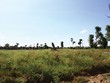 Bên trong dự án Mê Linh Vista
