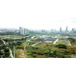 Gần 3 năm qua, TP.HCM chưa có giải pháp tháo gỡ vướng mắc về tách thửa đất khiến hàng ngàn héc-ta đất bị “treo”. Ảnh: Trọng Tín