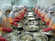 Thủy sản Minh Phú sẽ kháng cáo việc Hải quan Mỹ áp đặt thuế chống bán phá giá với tôm xuất khẩu.