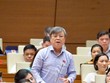 Đại biểu Trương Trọng Nghĩa (TP.HCM) phát biểu tại hội trường.