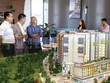 Ước tính quý IV/2020 tại TP.HCM và vùng ven sẽ có khoảng 7.000 căn hộ được đưa ra thị trường